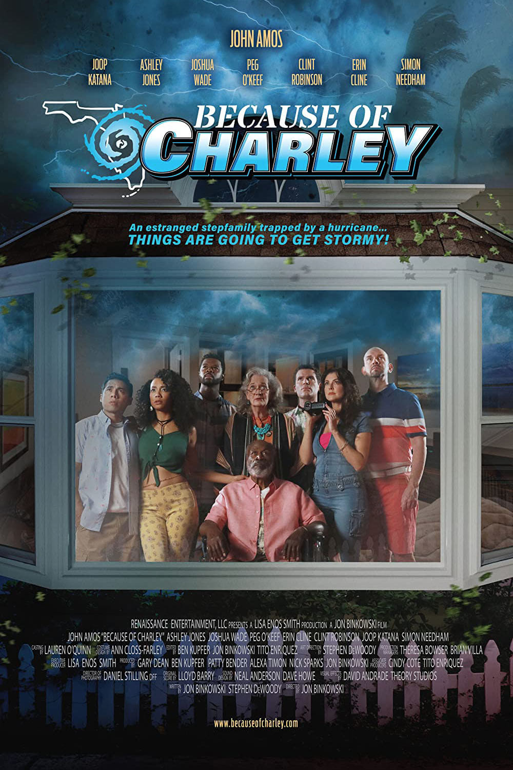 Постер Because of Charley